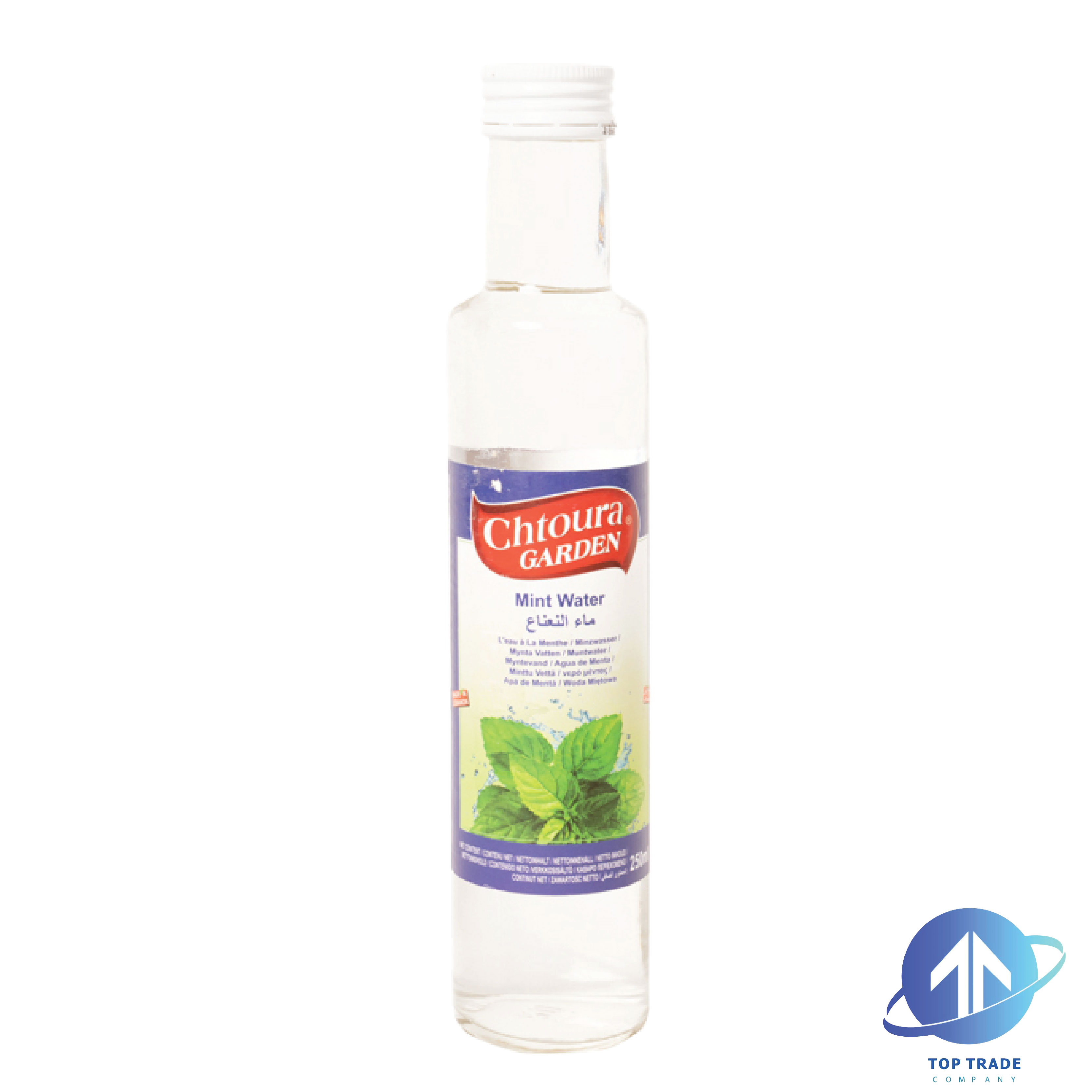 Chtoura garden Mint Water 250ML
