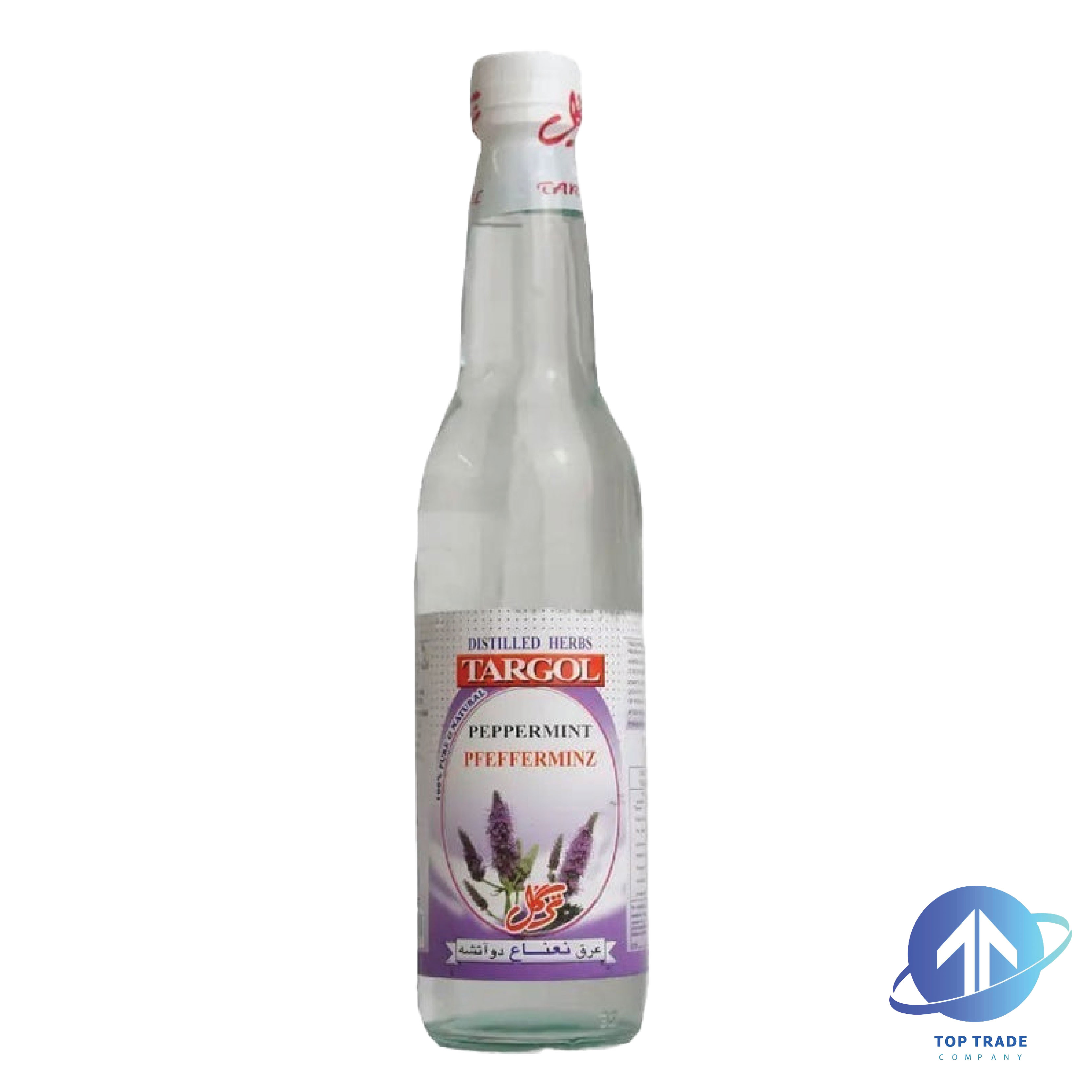Targol Mint Water 450ML